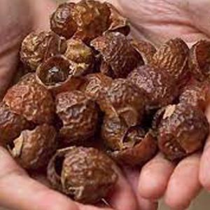 SOAP NUTS(RITHA)