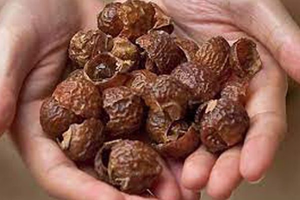 SOAP NUTS(RITHA)