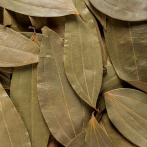 CINNAMOMUM TAMALA (Tejpat)