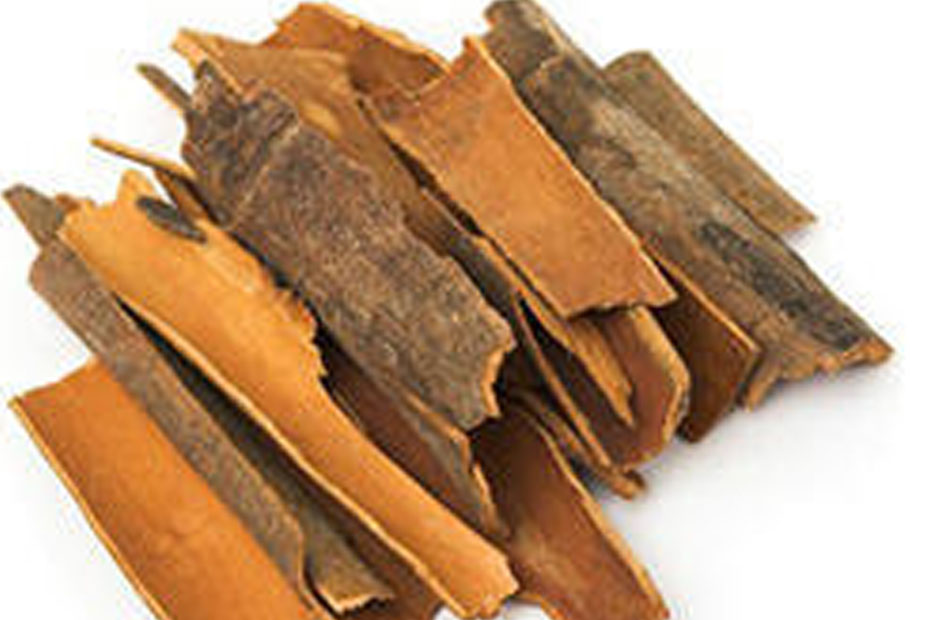 CINNAMOMUM ZEYLANICUM (Dalchini)