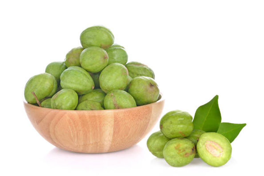 TERMINALLA CHEBULA RETZ