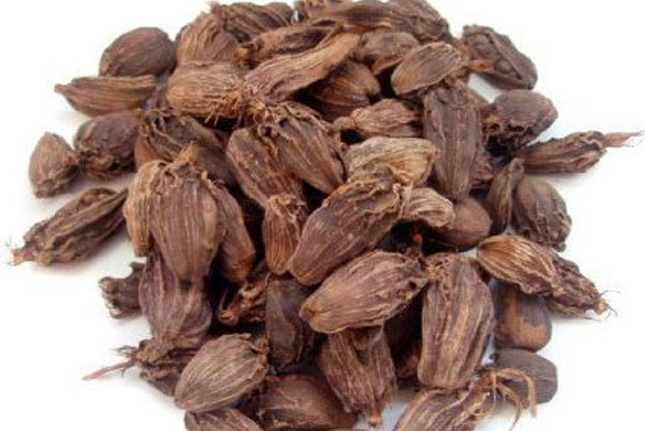 Cardamom
