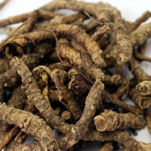 PICRORHIZA KURROA (Kutki)