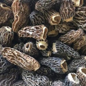 MOREL MUSHROOM (Guchhi Chyau)