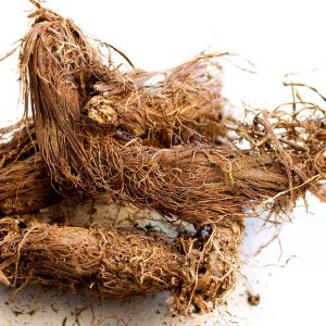 SPIKENARD (Jatamasi)